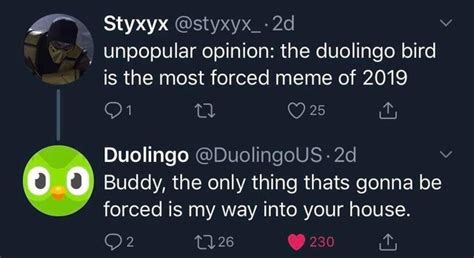 duolingo memes funny|duolingo twitter meme.